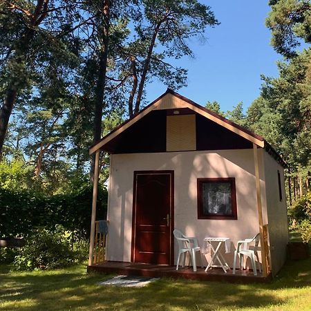 Villa Zem Priedem à Lapmežciems Extérieur photo
